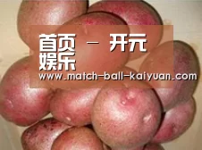 产品展示标题1