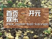 种植基地八(图1)