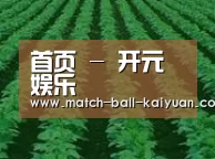 种植基地六(图1)