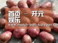 产品展示标题5(图1)
