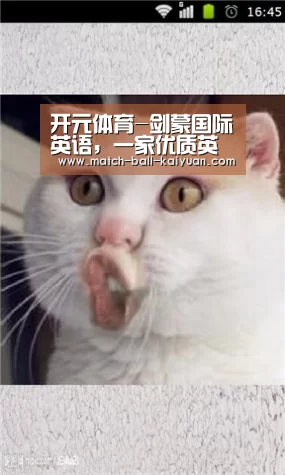 开元娱乐